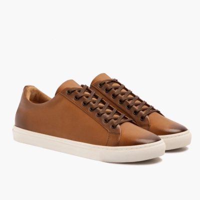 Brown Thursday Boots Premier Men's Low Top Sneakers | US3102LMB